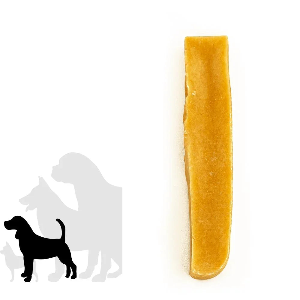 Medium Himalayan yak cheese dog chew treat on white background with dog size silhouettes