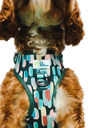 Dog wearing colorful patterned harness with green trim, close-up front view