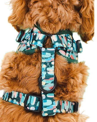 Dog wearing teal patterned harness with artistic brushstroke design