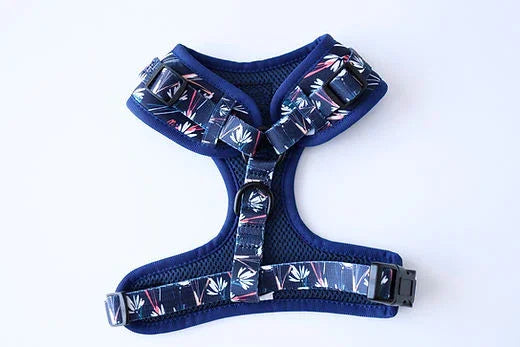 Navy blue dog harness with floral print straps on a white background