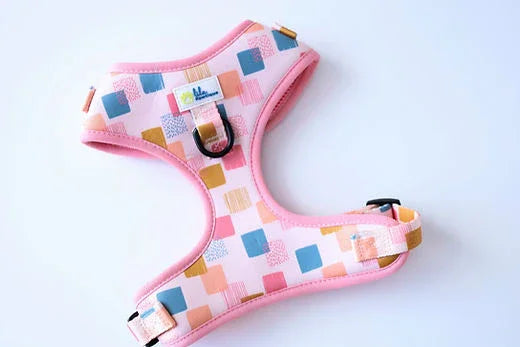 Colorful pink dog harness with geometric square pattern on white background