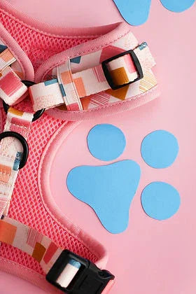 Colorful dog harness on pink background with blue paw print shapes, pet accessories