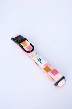 Colorful squares patterned pet collar with buckle on white background