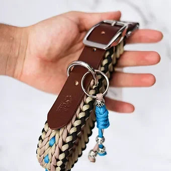 Hand holding braided leather dog collar with metal buckle and blue charm