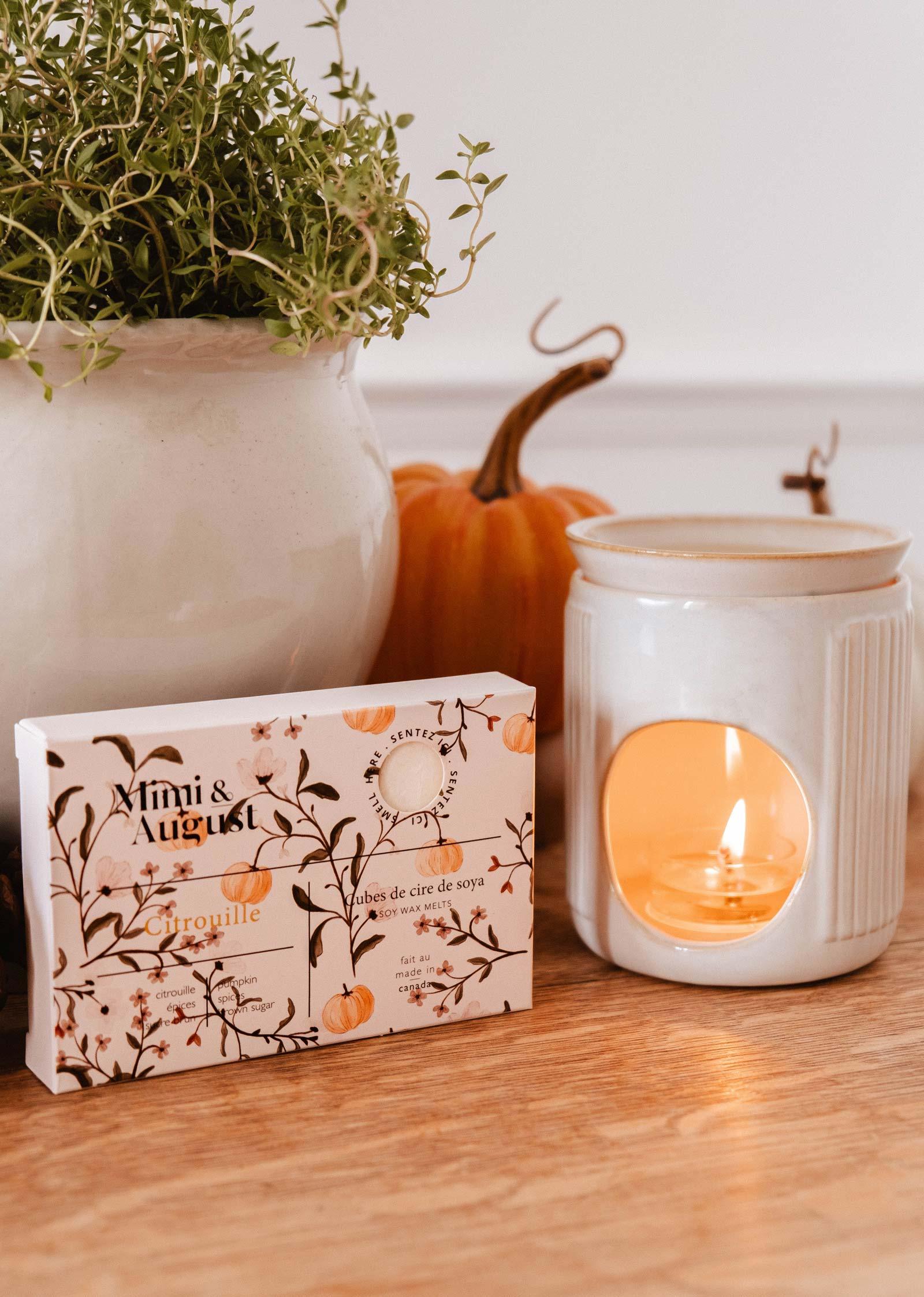 Citrouille soy wax melts box by Mimi & August with pumpkin, plant, and ceramic warmer on wood table