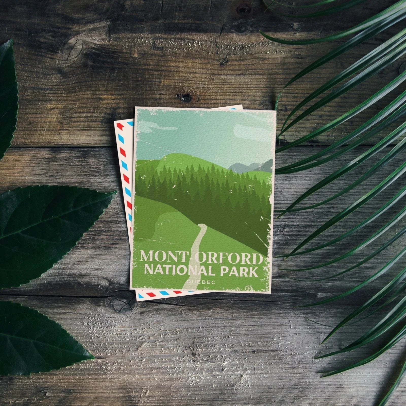 Mont Orford National Park Quebec postcard on rustic wooden table with green leaves