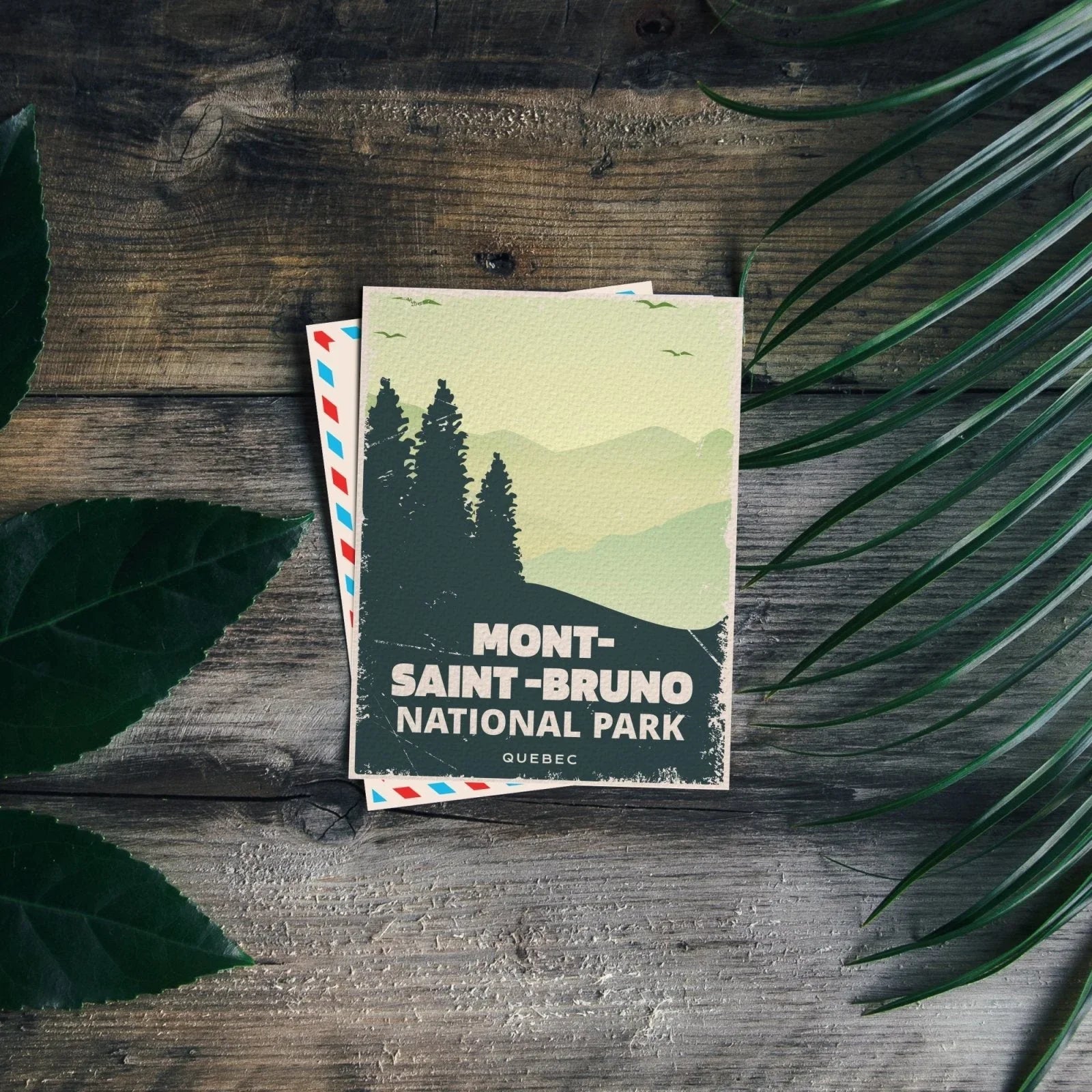 Mont-Saint-Bruno National Park Quebec postcard with pine trees on rustic wood and green leaves