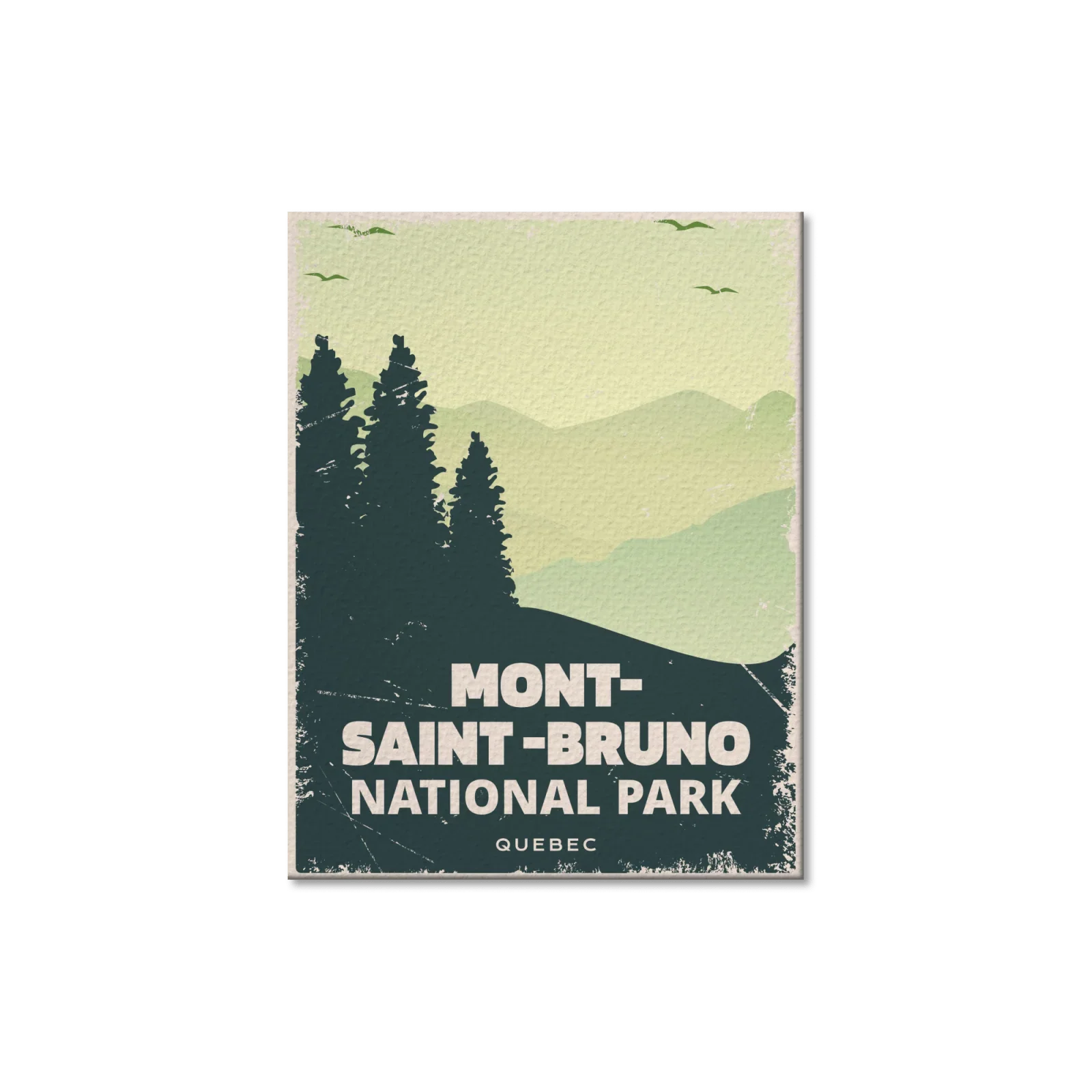 Mont-Saint-Bruno National Park Quebec postcard with pine trees and mountain silhouette
