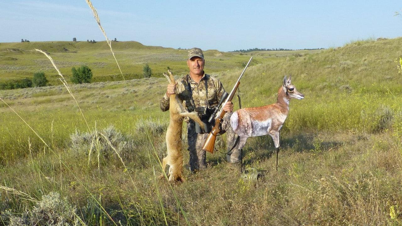 Hunter in camouflage holding rifle and coyote beside antelope decoy in grassy field