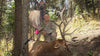 Montana Decoy Co Fred Eichler Elk Decoy - Leapfrog Outdoor Sports and Apparel