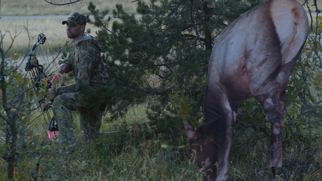 Bow hunter in camouflage hiding behind feeding elk decoy in a grassy woodland area.