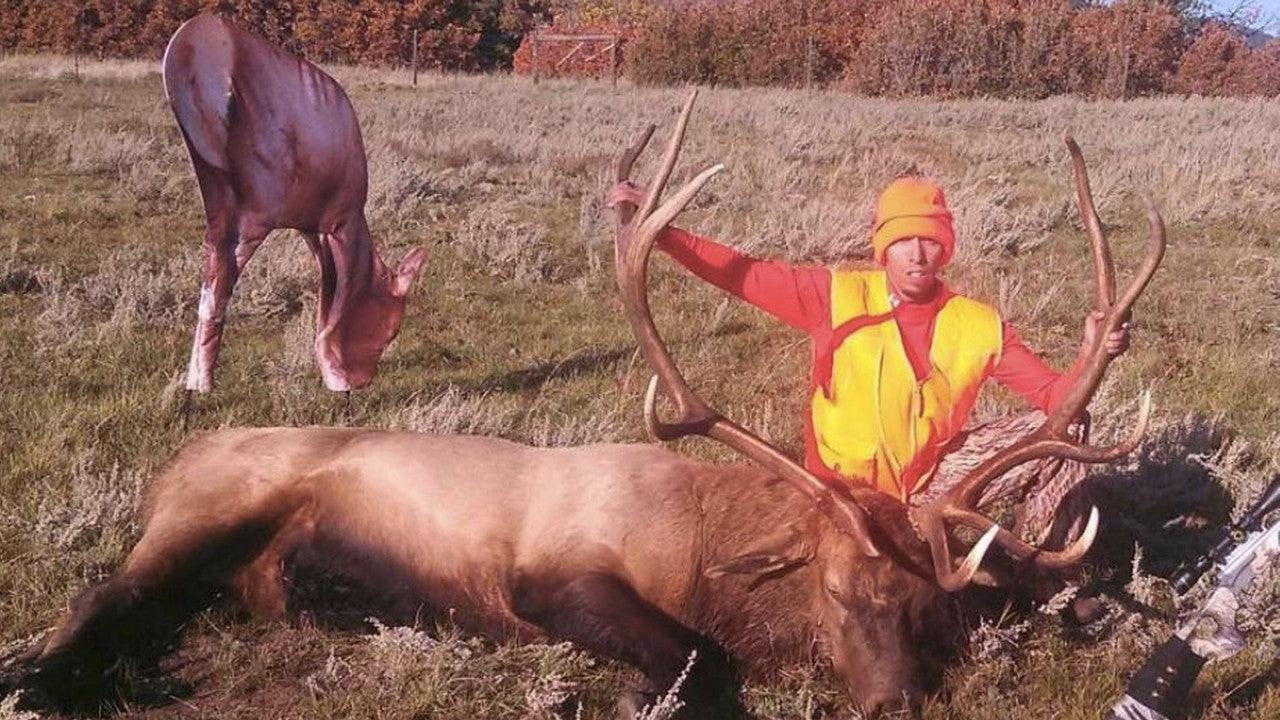 Hunter in orange vest with elk antlers, elk decoy grazing in grassy field