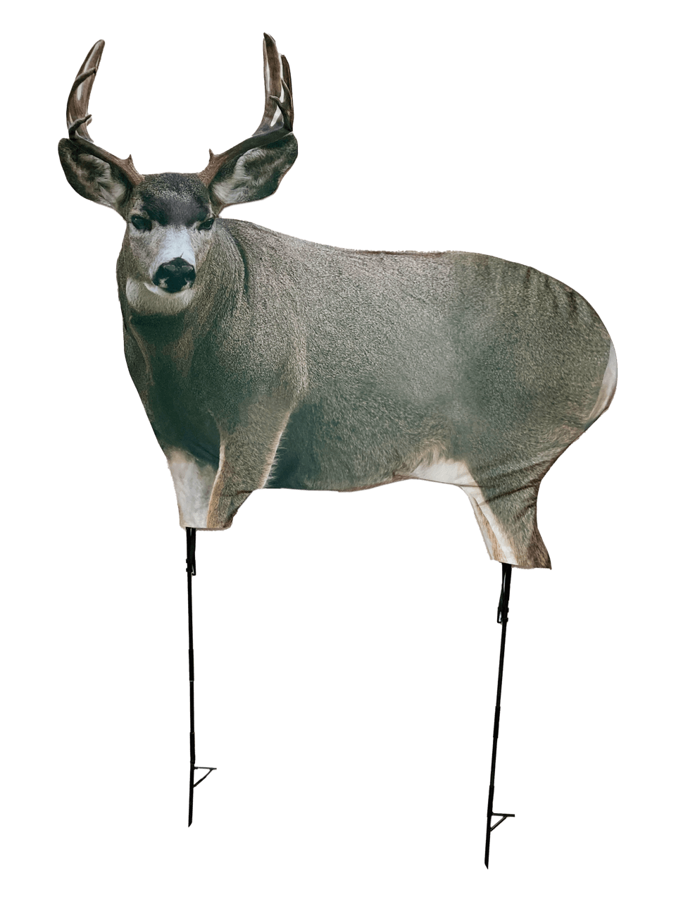 Mule deer decoy with antlers on metal poles for hunting and wildlife observation