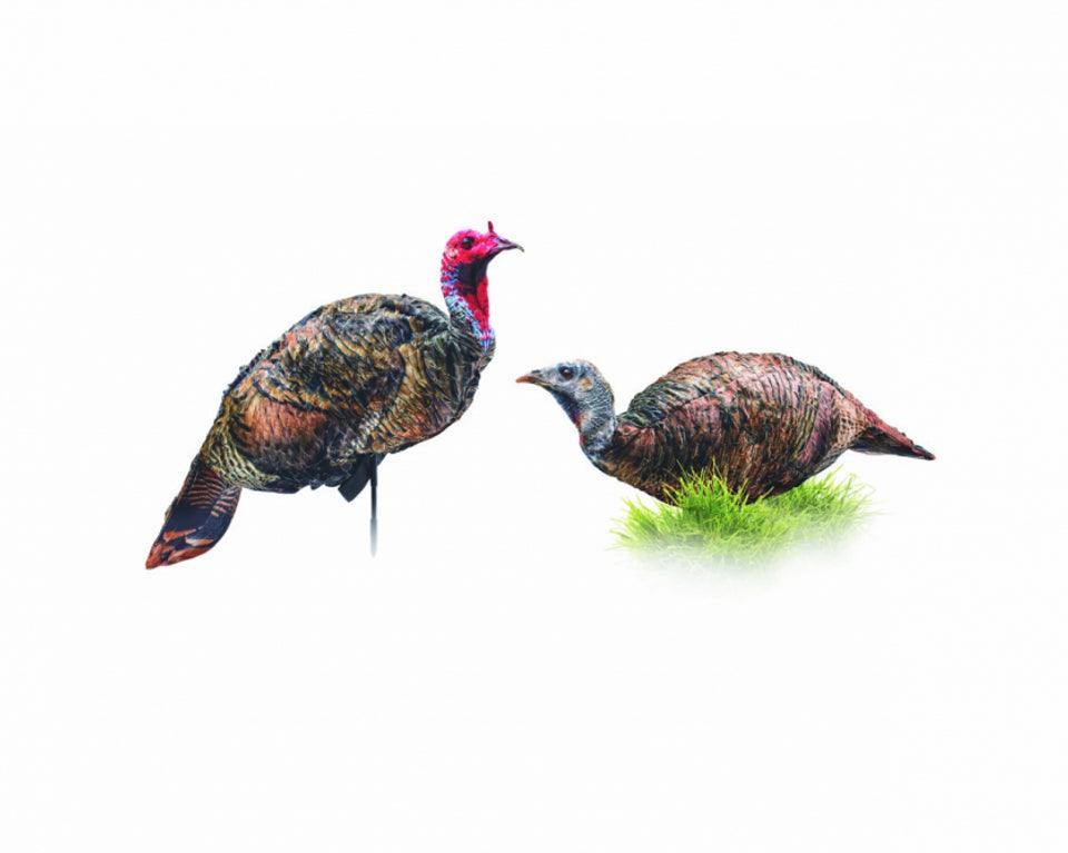 Montana Decoy Co Purrfect Pair XD turkey decoys on white background, outdoor hunting gear