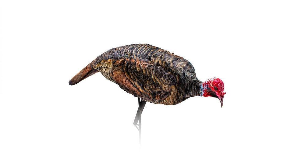 Montana Decoy Purrfect Pair XD turkey decoy on white background, outdoor hunting gear