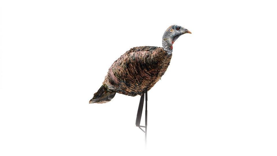 Montana Decoy Purrfect Pair XD turkey decoy on stand against white background