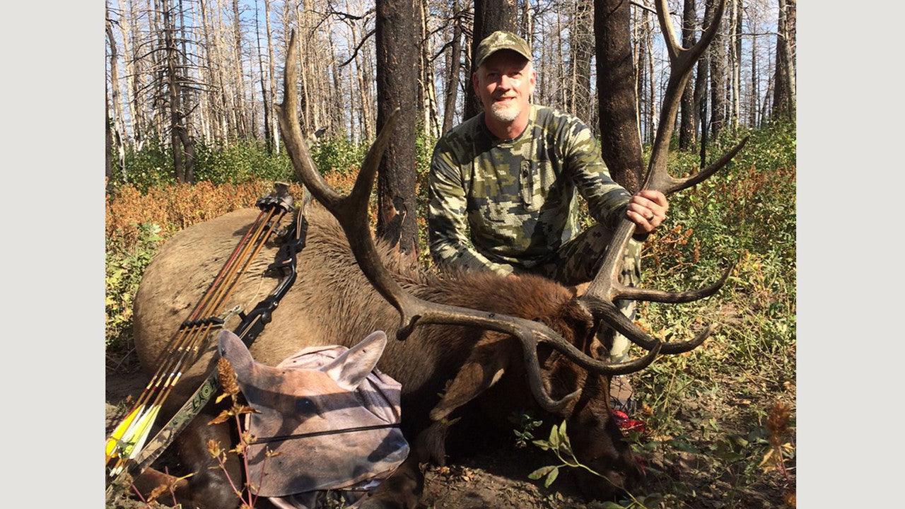 Man in camouflage with archery gear and large elk decoy in forest setting