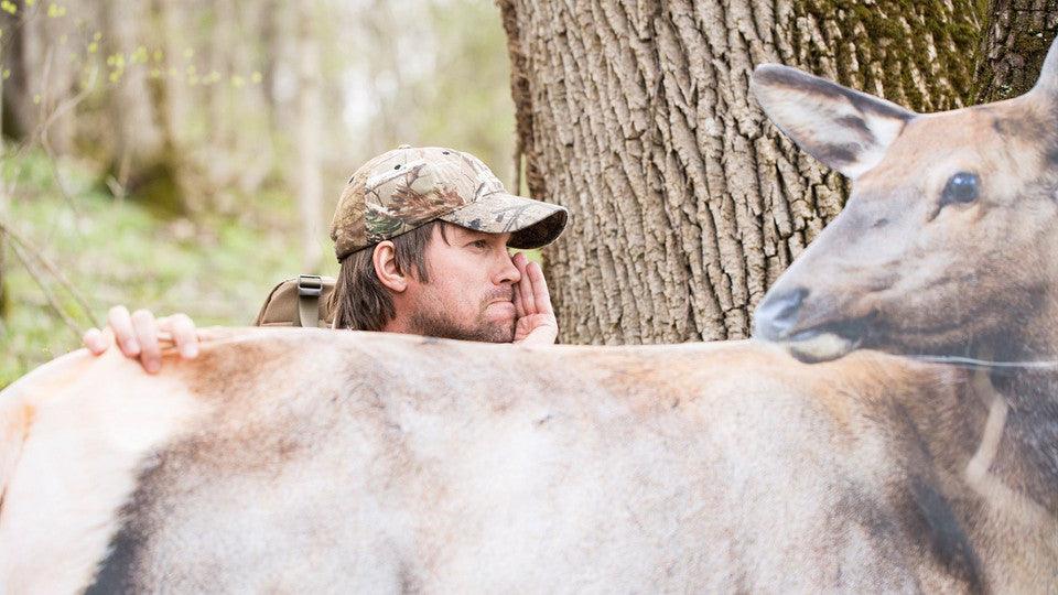 Hunter in camouflage using elk decoy in forest near tree for elk hunting concealment