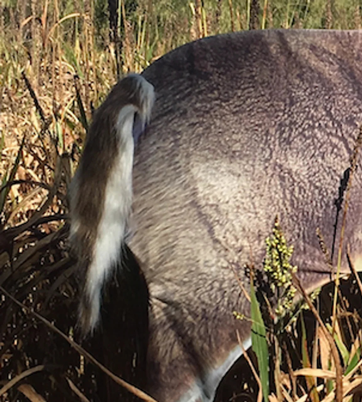 Montana Decoy Co Teaser Tail