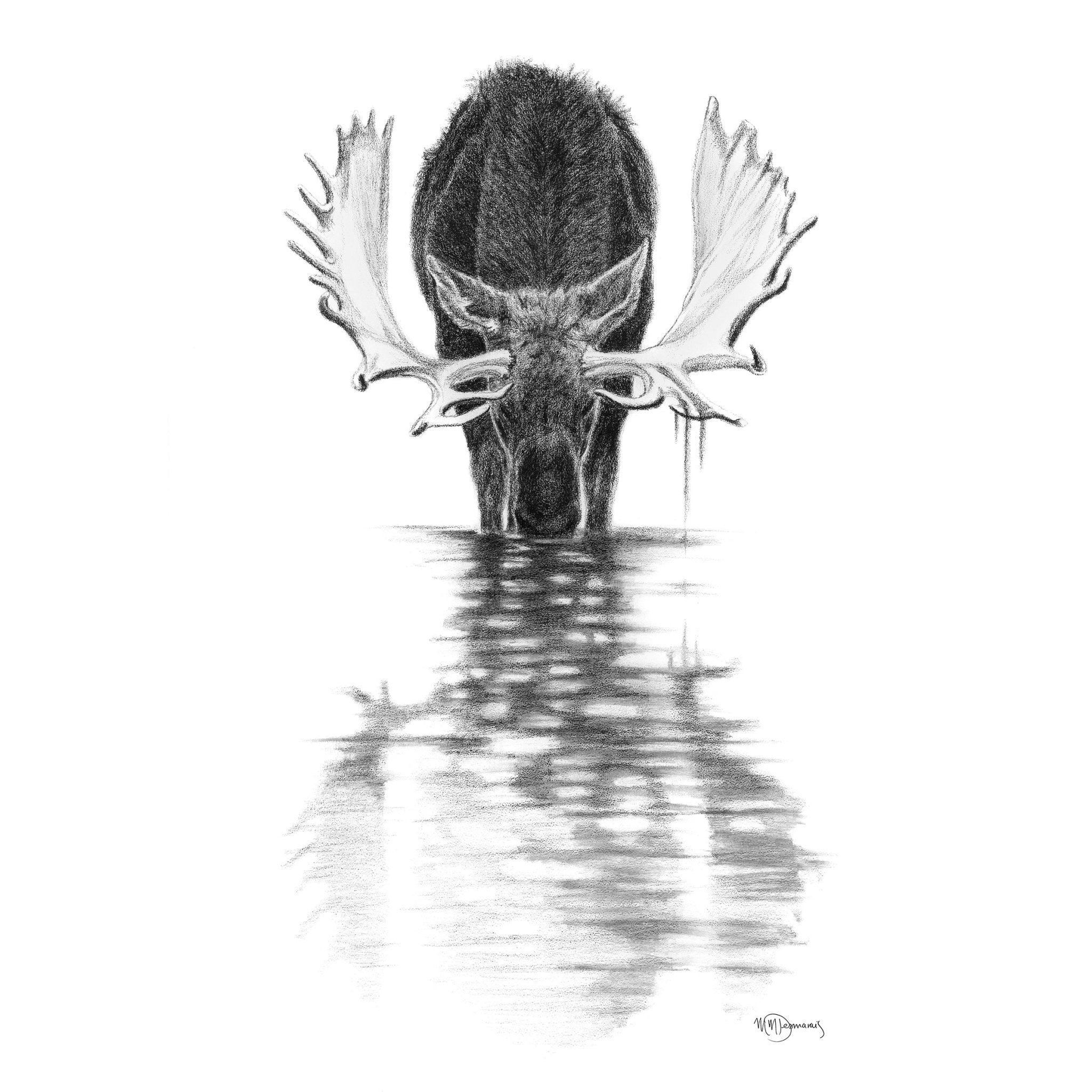 Monochrome drawing of a moose standing in calm water with clear reflection