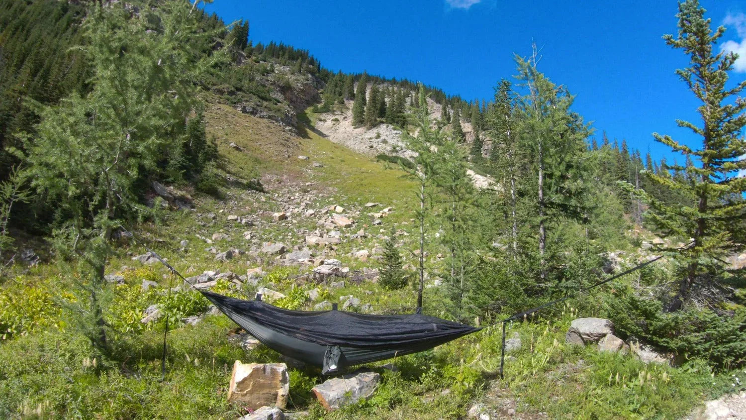 Mosquito hammock with bug net set up between trees in a mountain forest landscape
