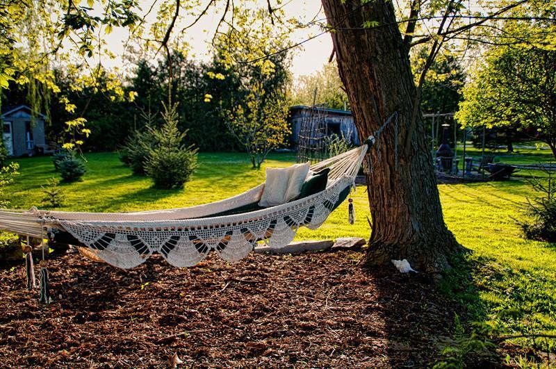 Nicaraguan deluxe hammock with pillows hanging between trees in a sunny backyard garden