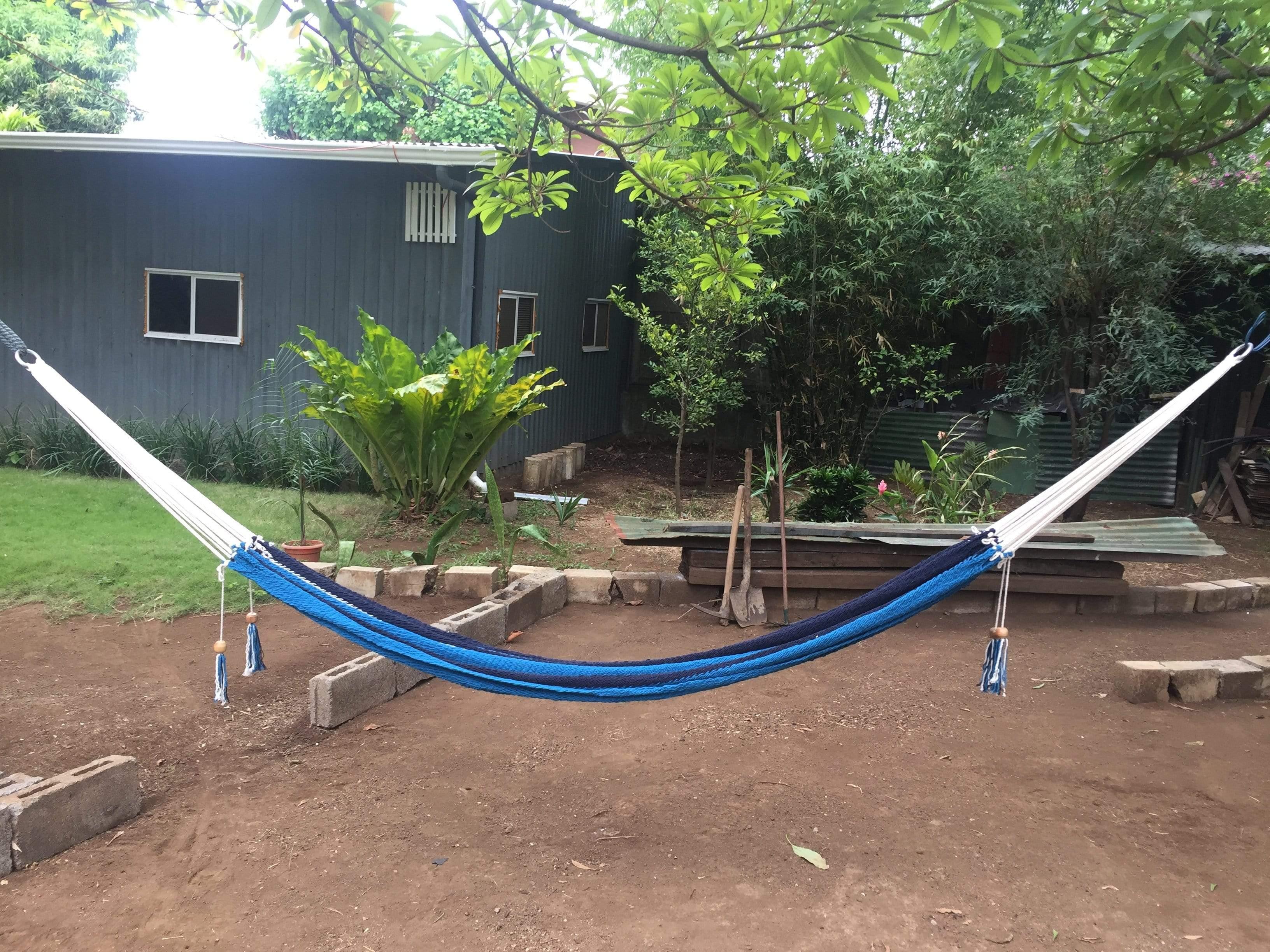 Blue and white hammock hanging in a backyard garden with trees and a gray wooden house