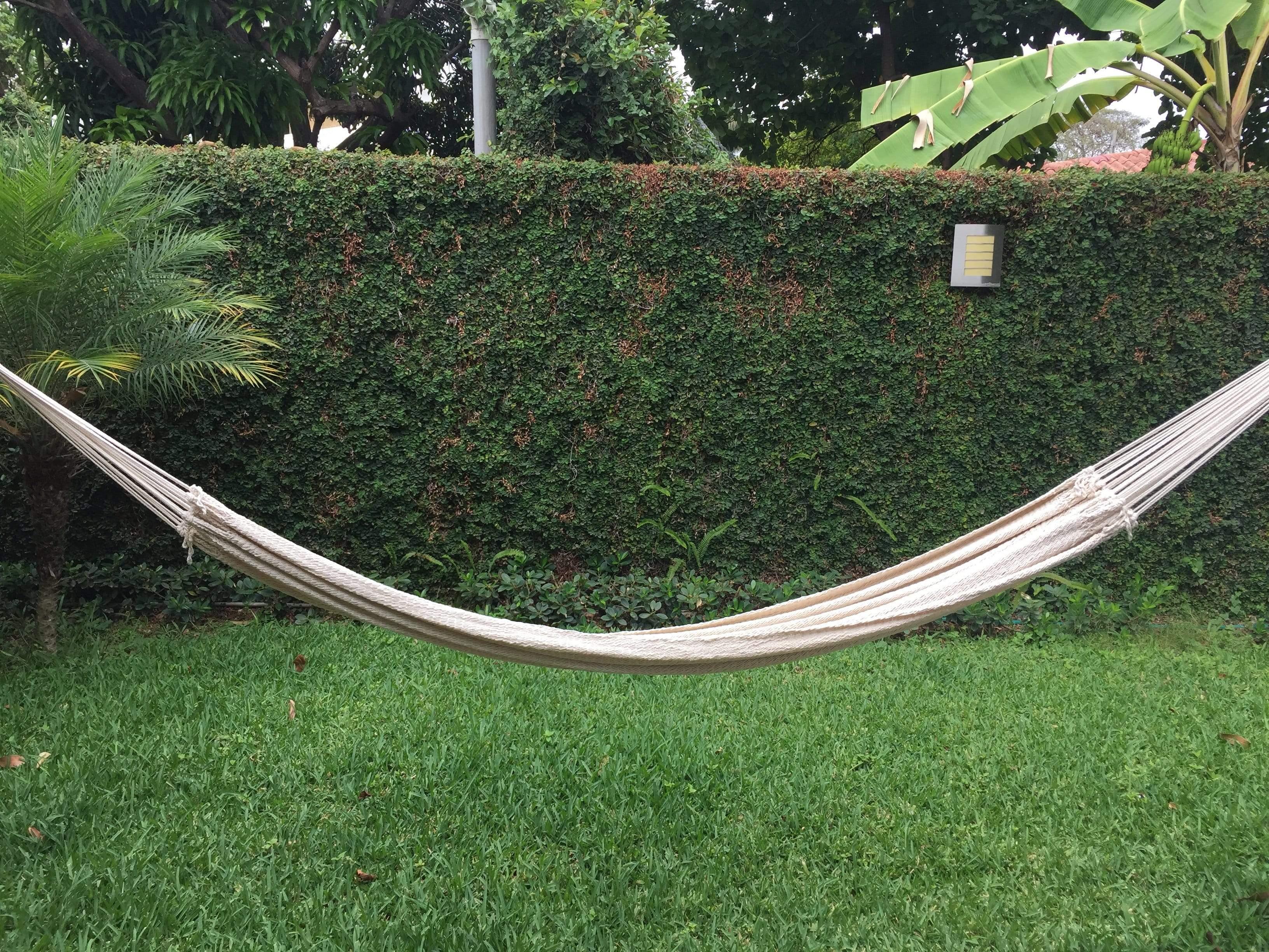 White woven hammock hanging in a lush green backyard garden with grass and tropical plants