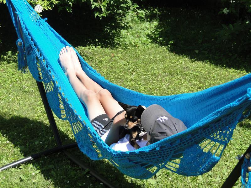 Person relaxing in a blue hammock outdoors with a small dog on their lap