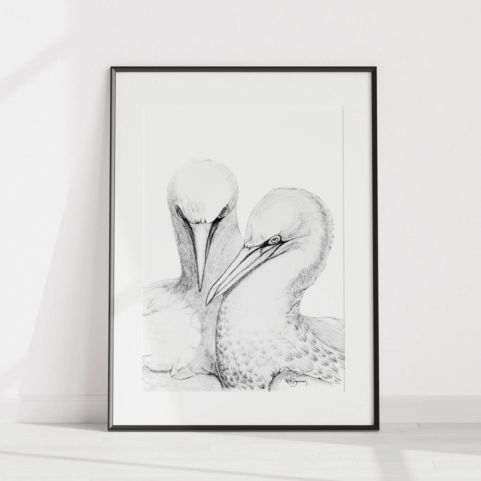 Northern gannet illustration print featuring two detailed birds in a minimalist black frame.