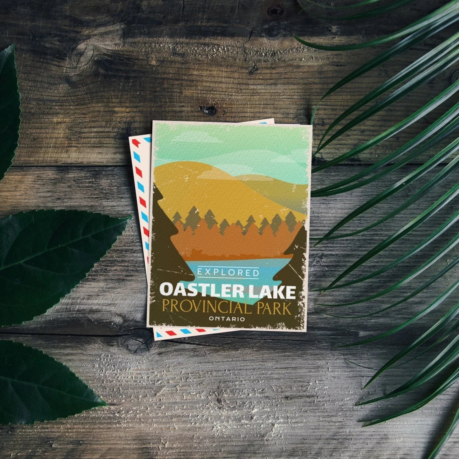 Oastler Lake Provincial Park Ontario postcard on rustic wood with green leaves