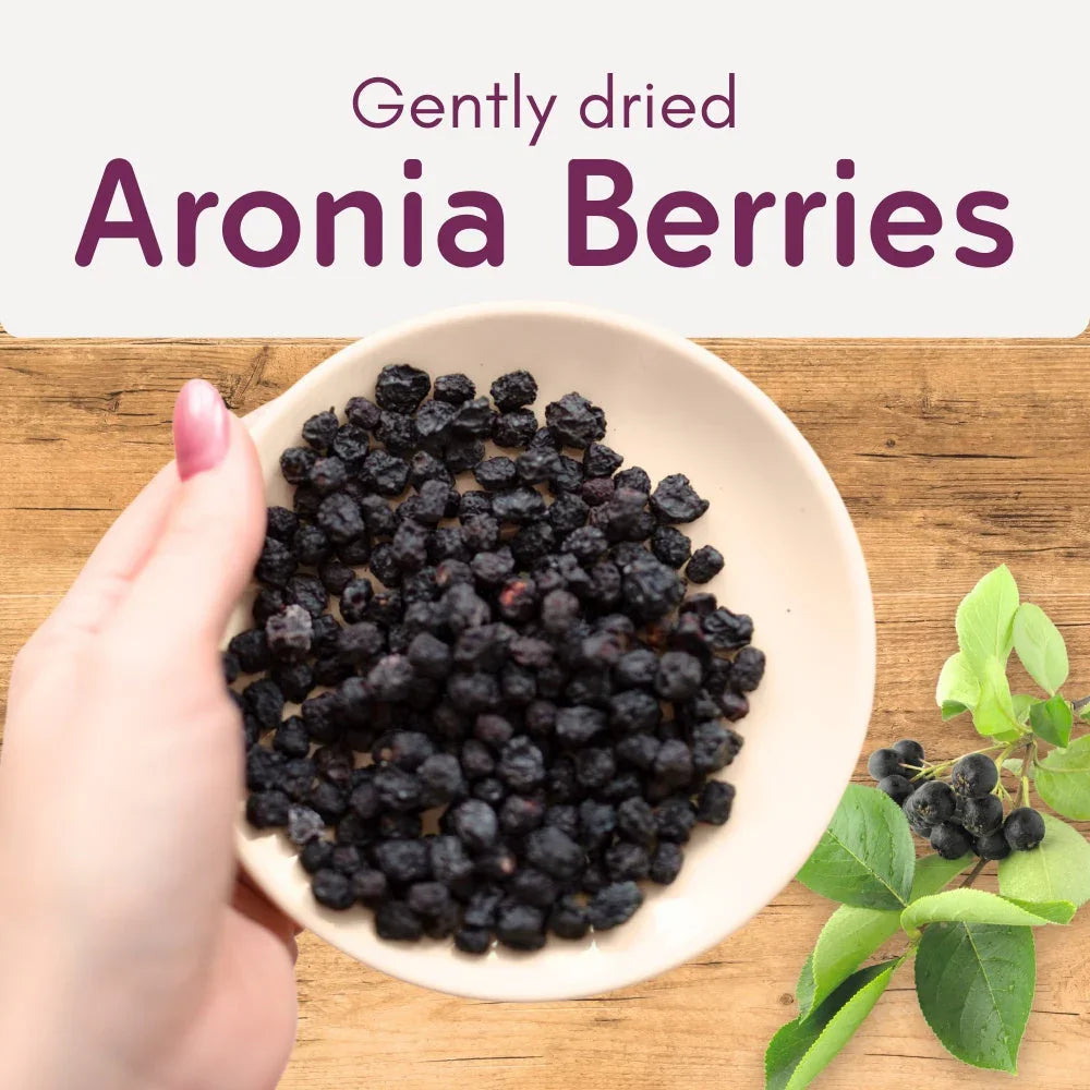 Hand holding a bowl of dried aronia berries on wooden table with fresh aronia branch