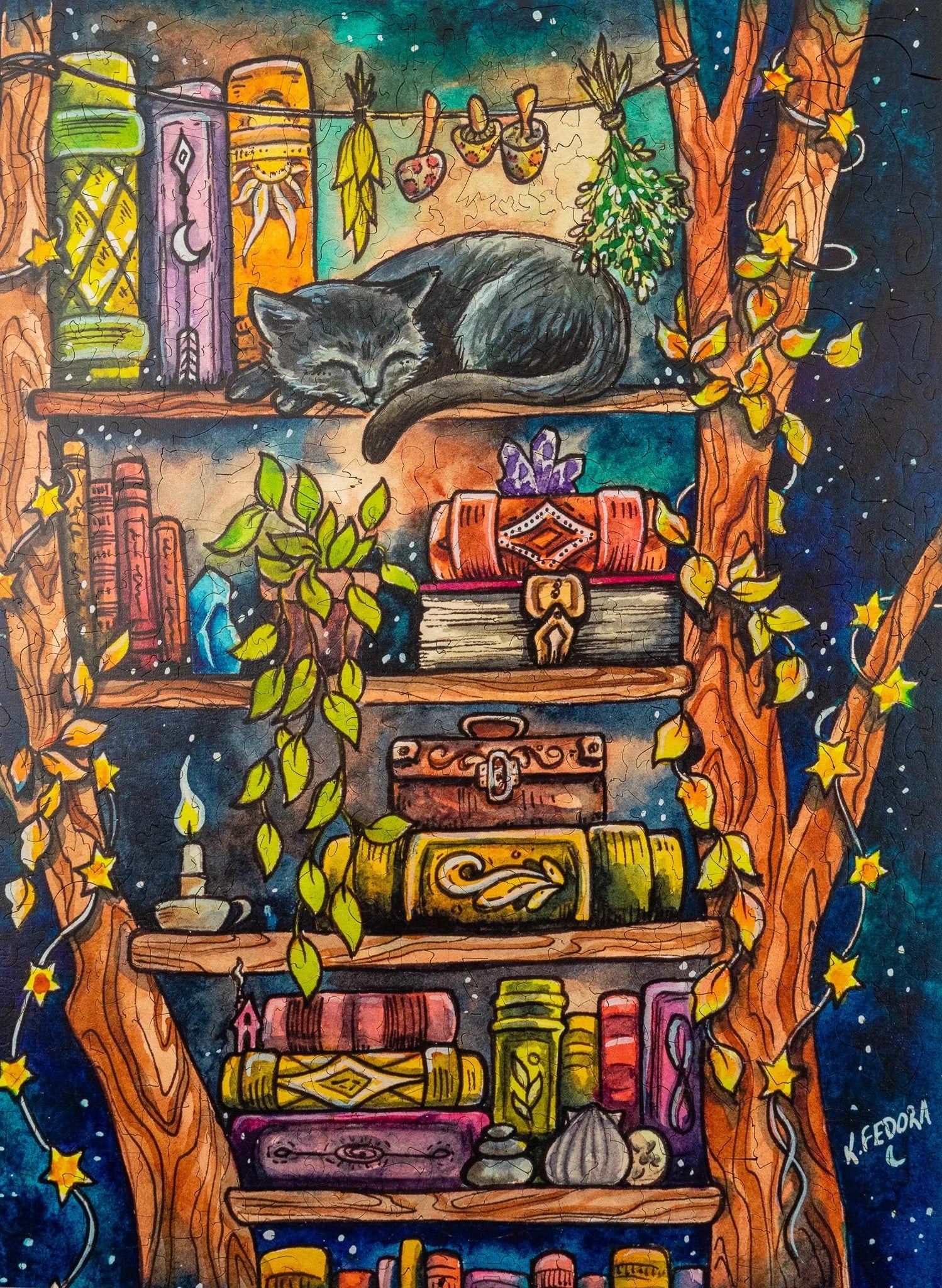Whimsical bookshelf illustration with a sleeping black cat, colorful books, plants, and glowing stars