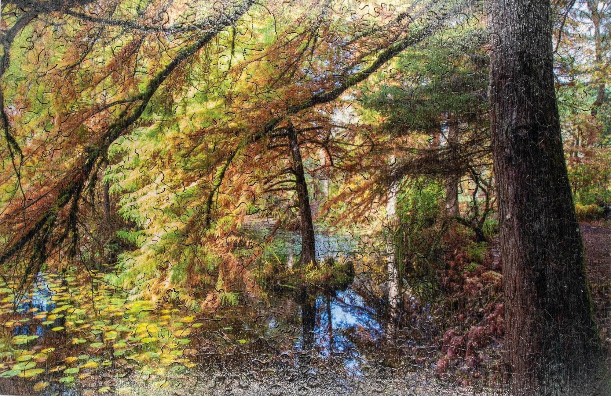 Autumn forest scene reflected in pond, lily pads, yellow and green foliage, tree puzzle image