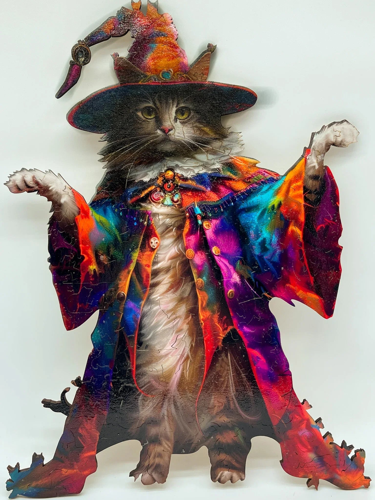 Tabby cat dressed as a wizard in a colorful robe and hat, white background, fantasy theme