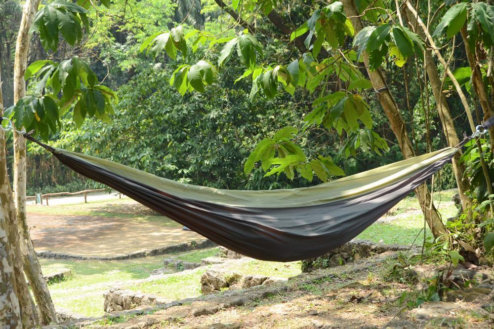 Green and brown hammock tied between trees in a lush forest park