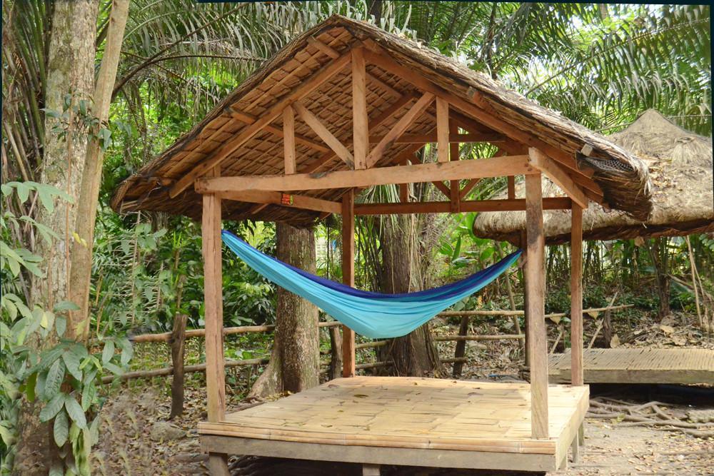 Rustic wooden hut with thatched roof and blue hammock in tropical jungle setting