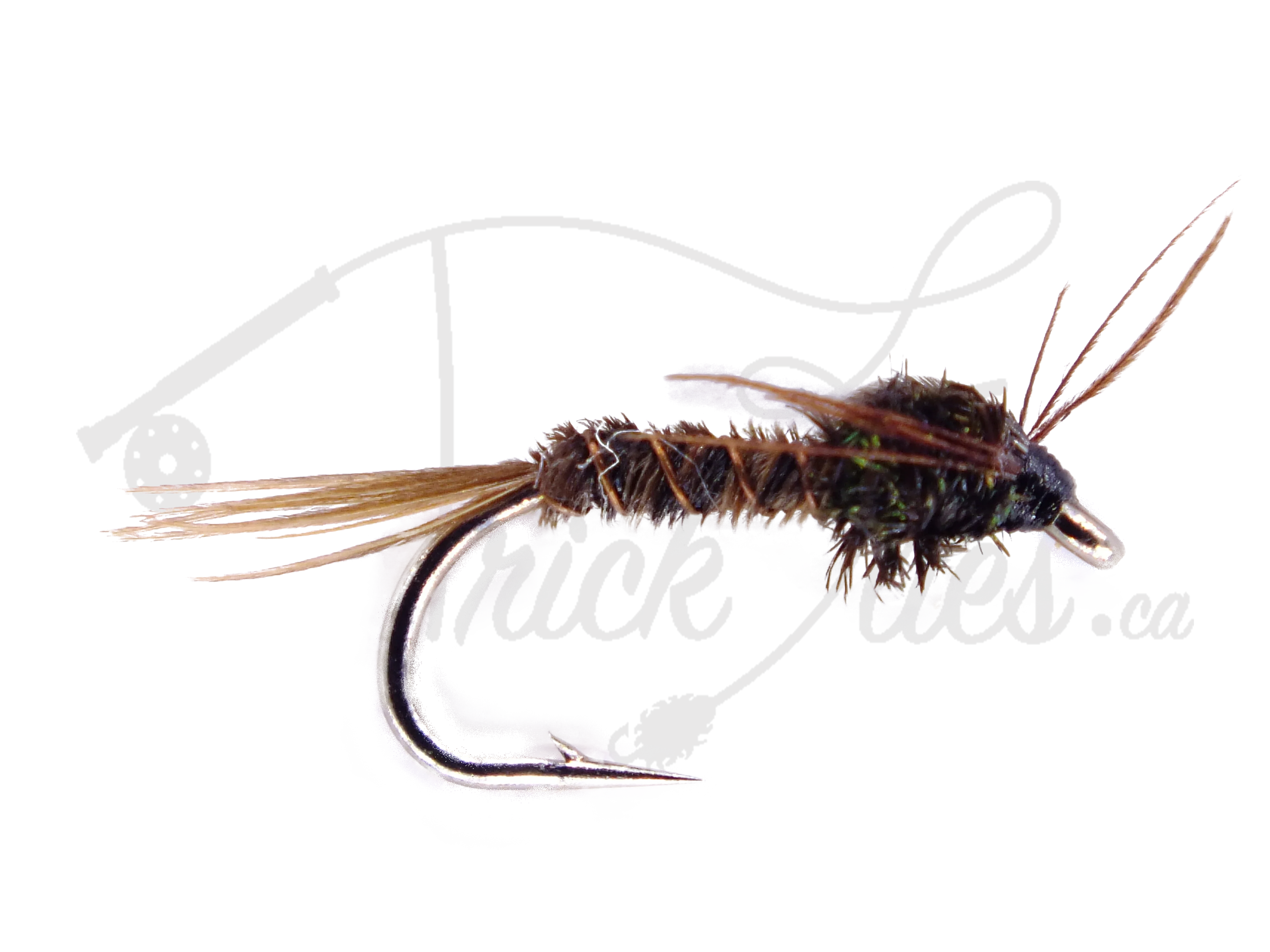 Pheasant Tail