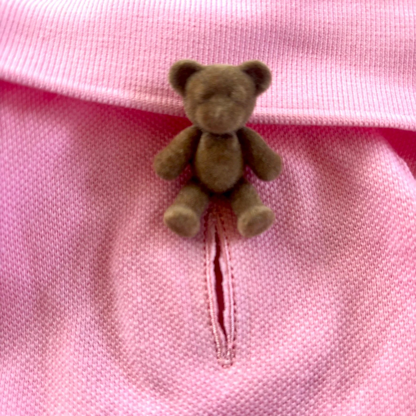 Small brown teddy bear button on pink knit fabric garment