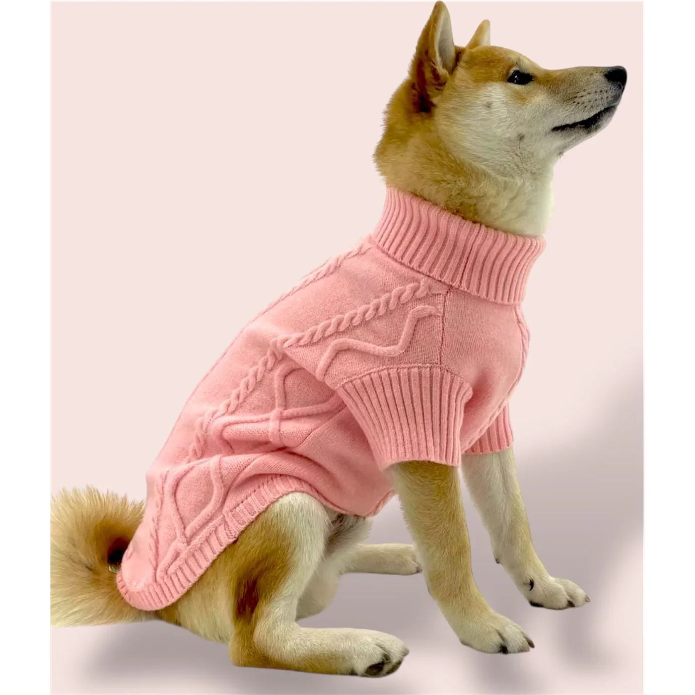 Shiba Inu dog wearing pink cable knit turtleneck sweater on light pink background