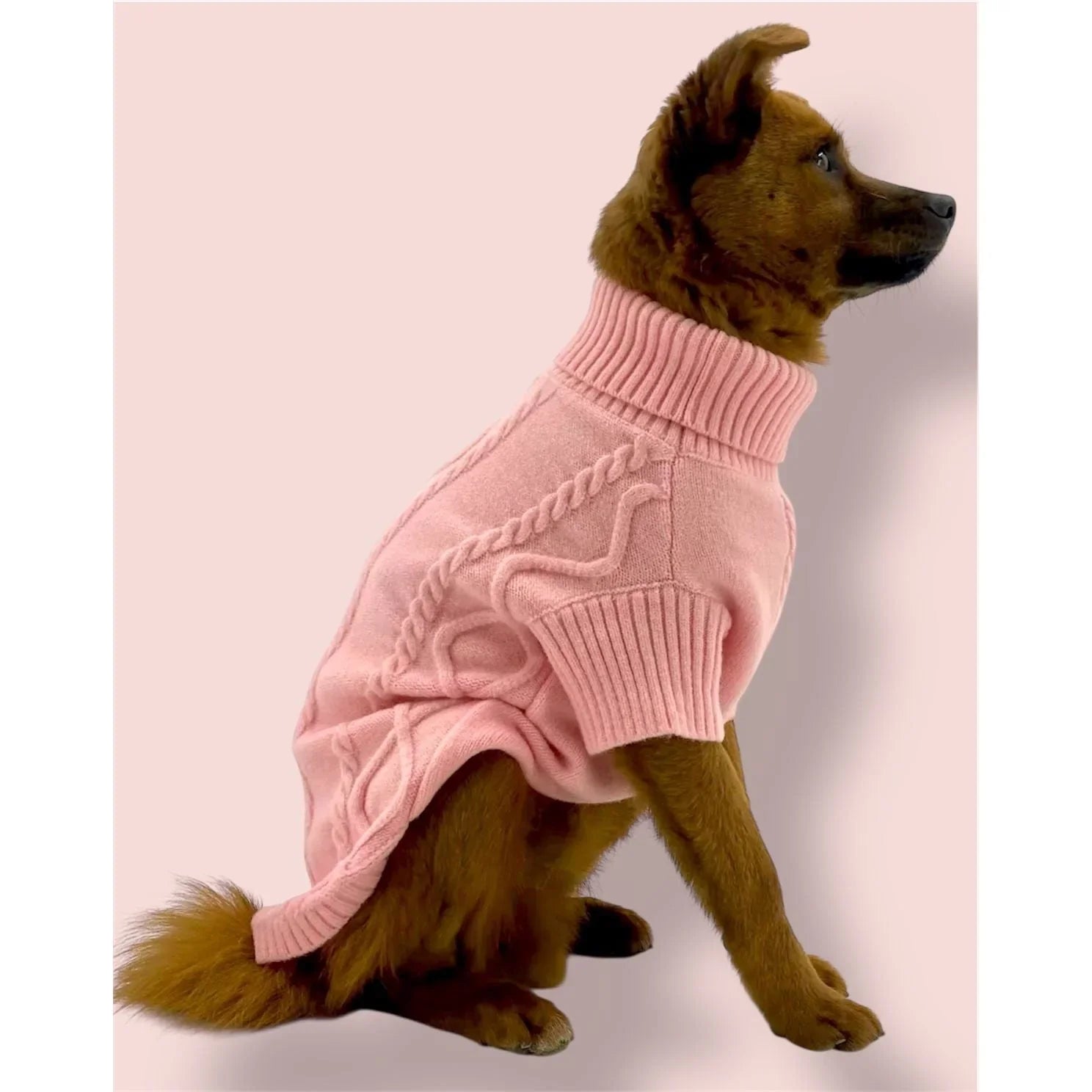 Brown dog in a pink cable knit turtleneck sweater against a pale pink background