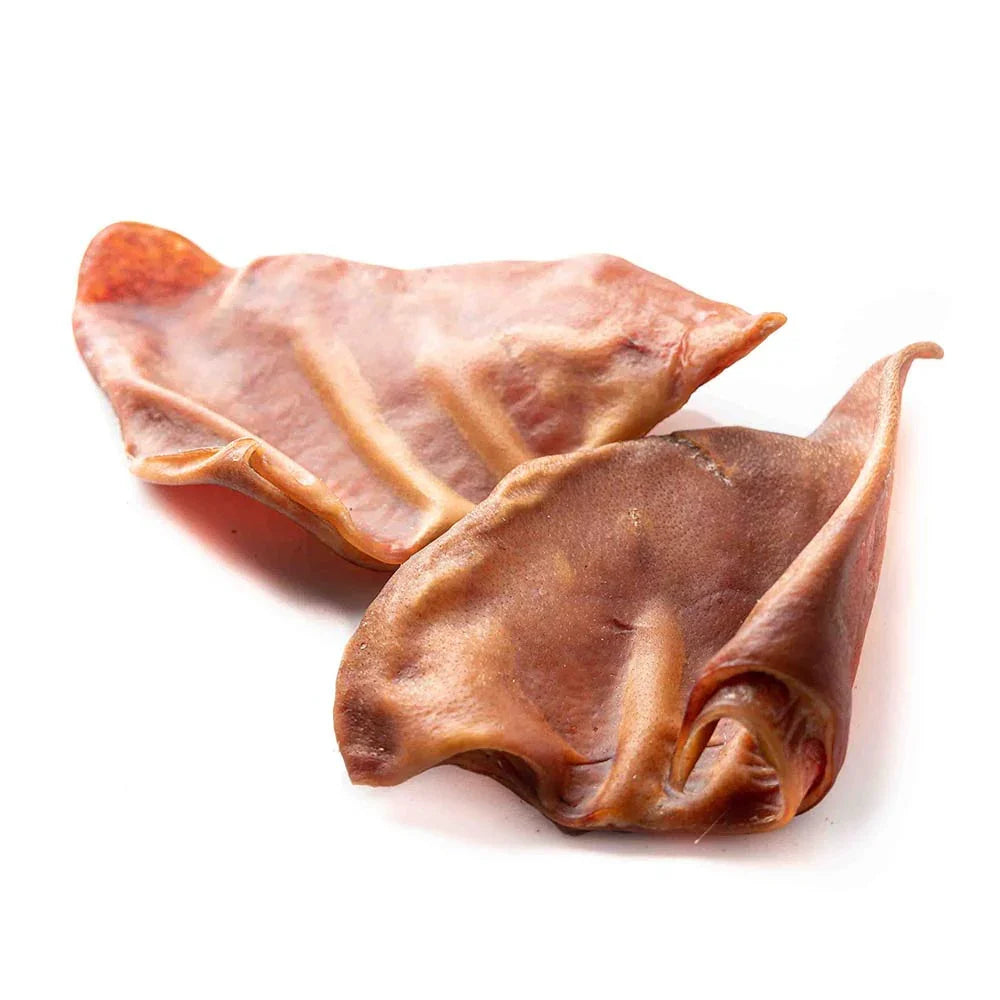 Two dried pork ears dog chews on a white background