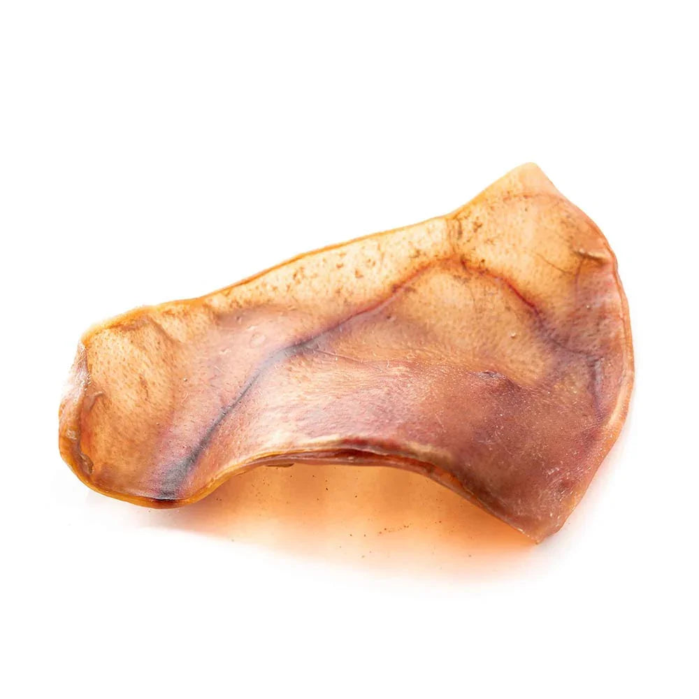 dried pork ear dog treat on white background