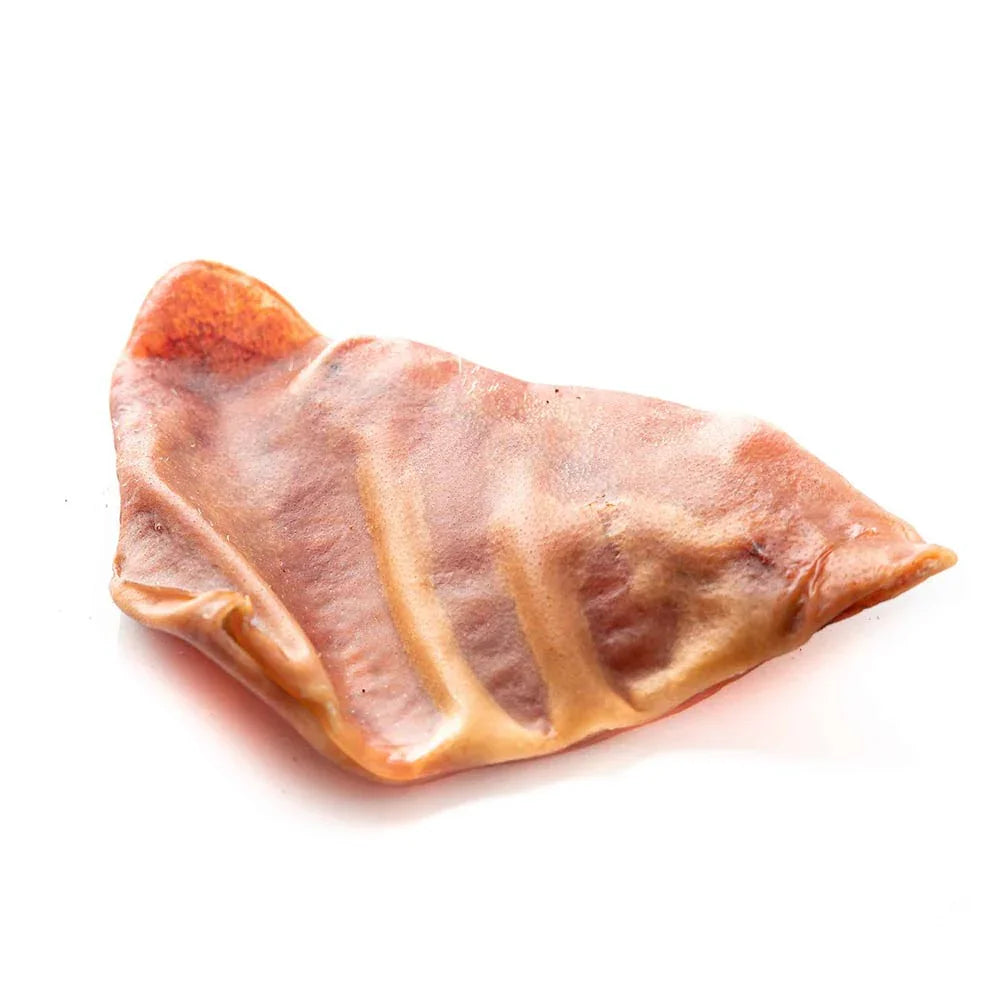 Dried pork ear dog treat on white background