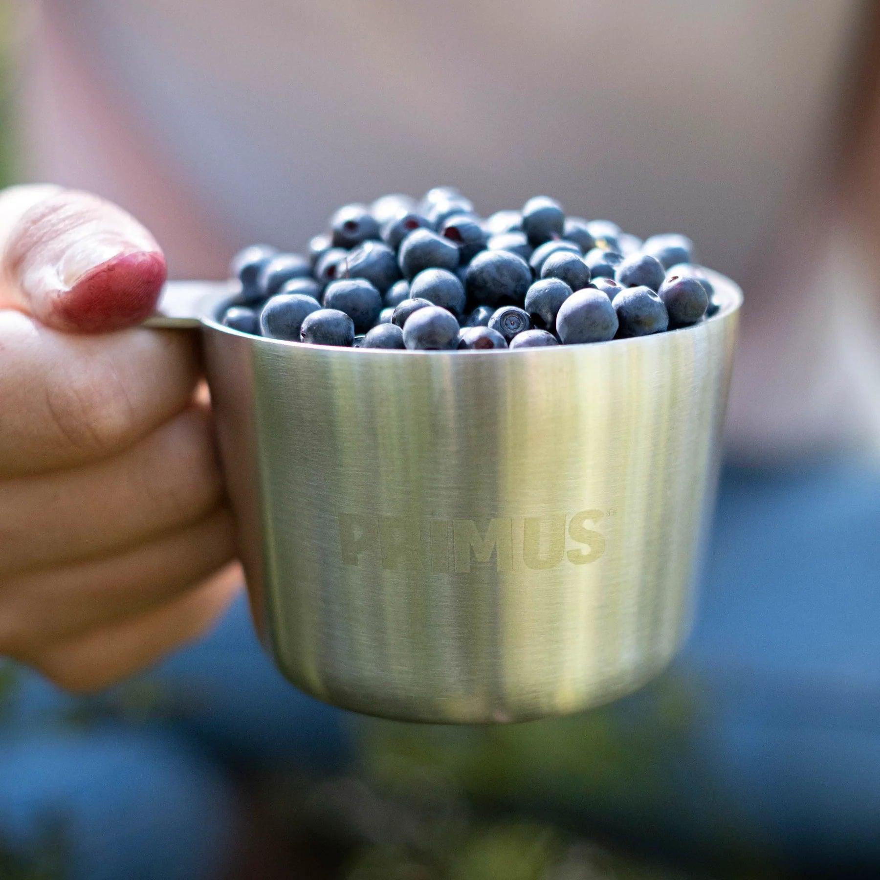 Hand holding Primus stainless steel mug filled with fresh blueberries outdoors