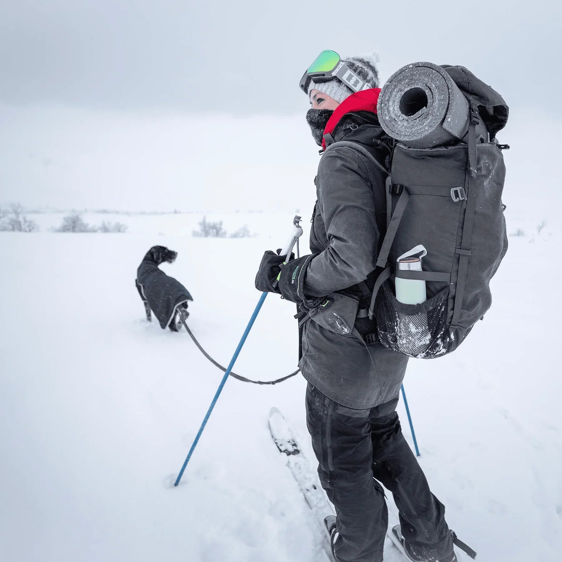 Skier with large backpack and dog in snowy winter landscape, outdoor adventure gear