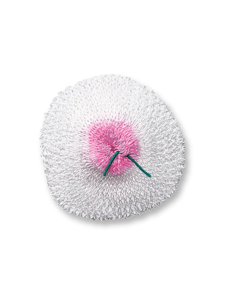 Primus replacement lantern mantle with white mesh and pink center on plain background