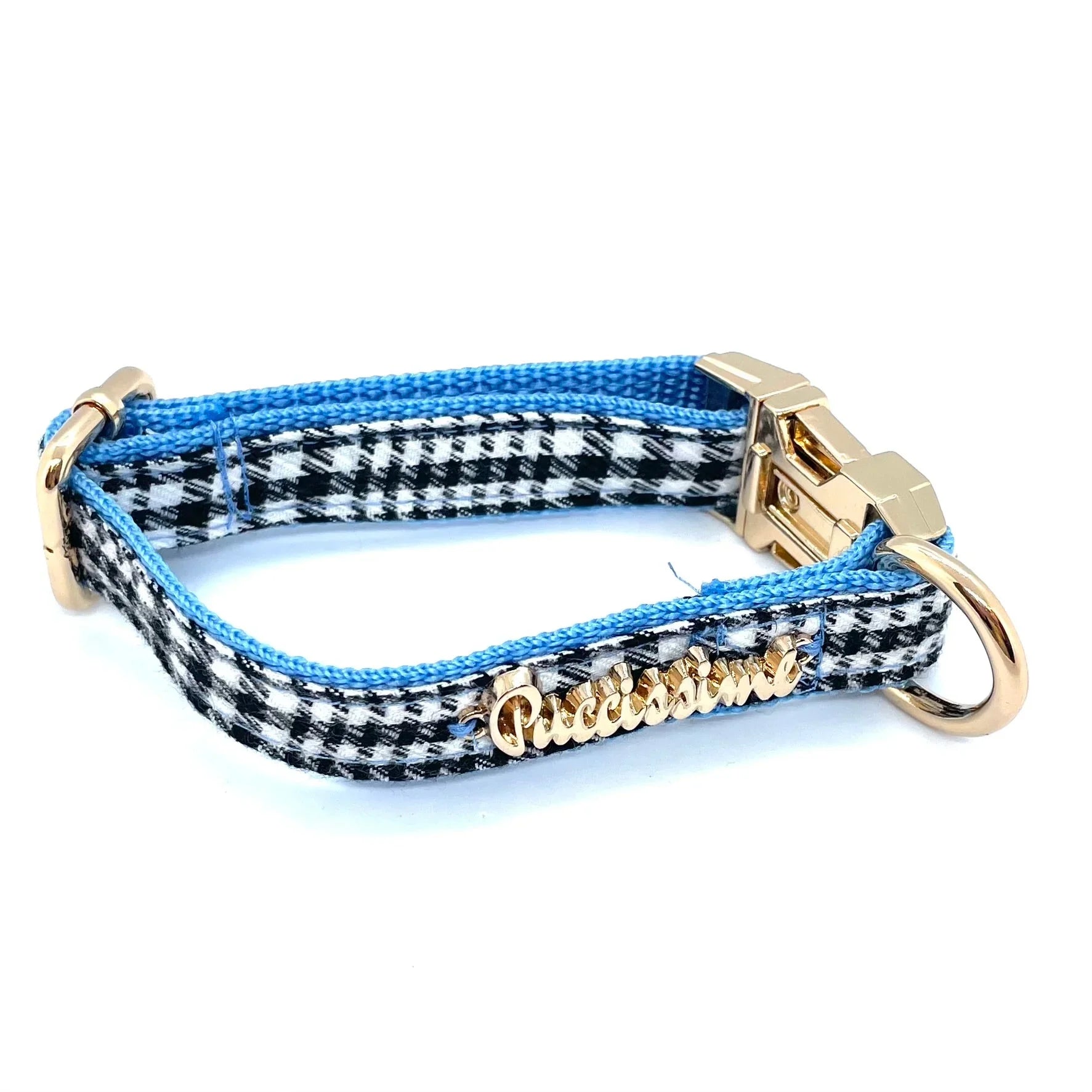 Blue and black plaid dog collar with gold hardware and Puccissime charm