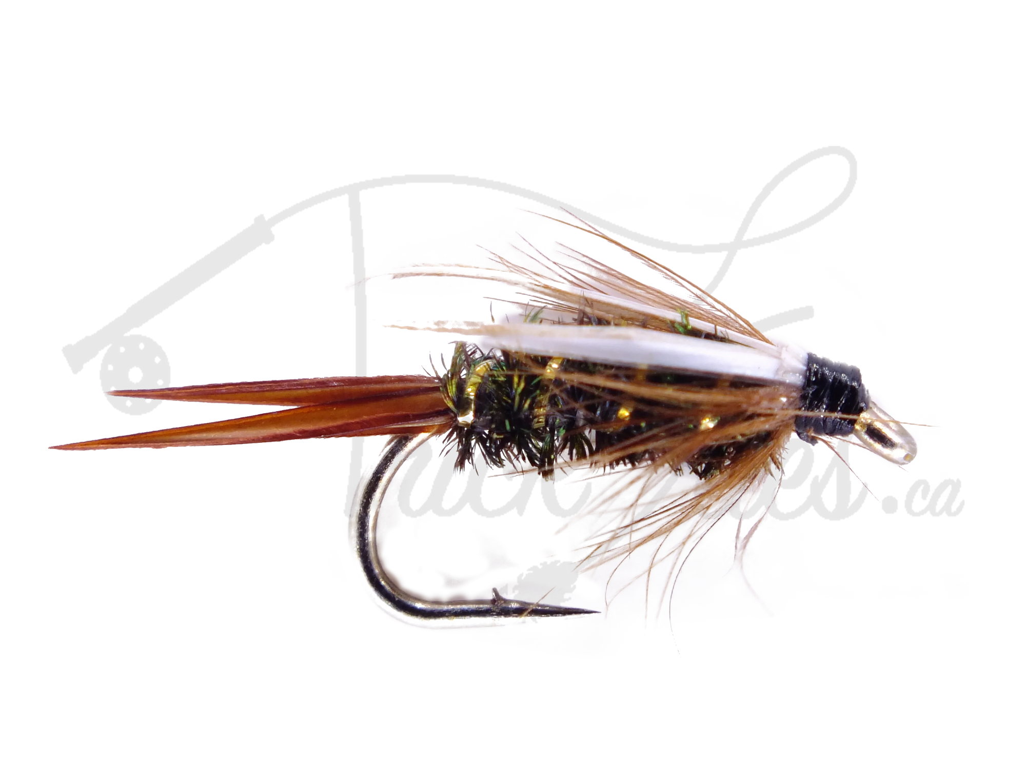 Prince Nymph fishing fly lure with brown tail, peacock body, and white wings on hook