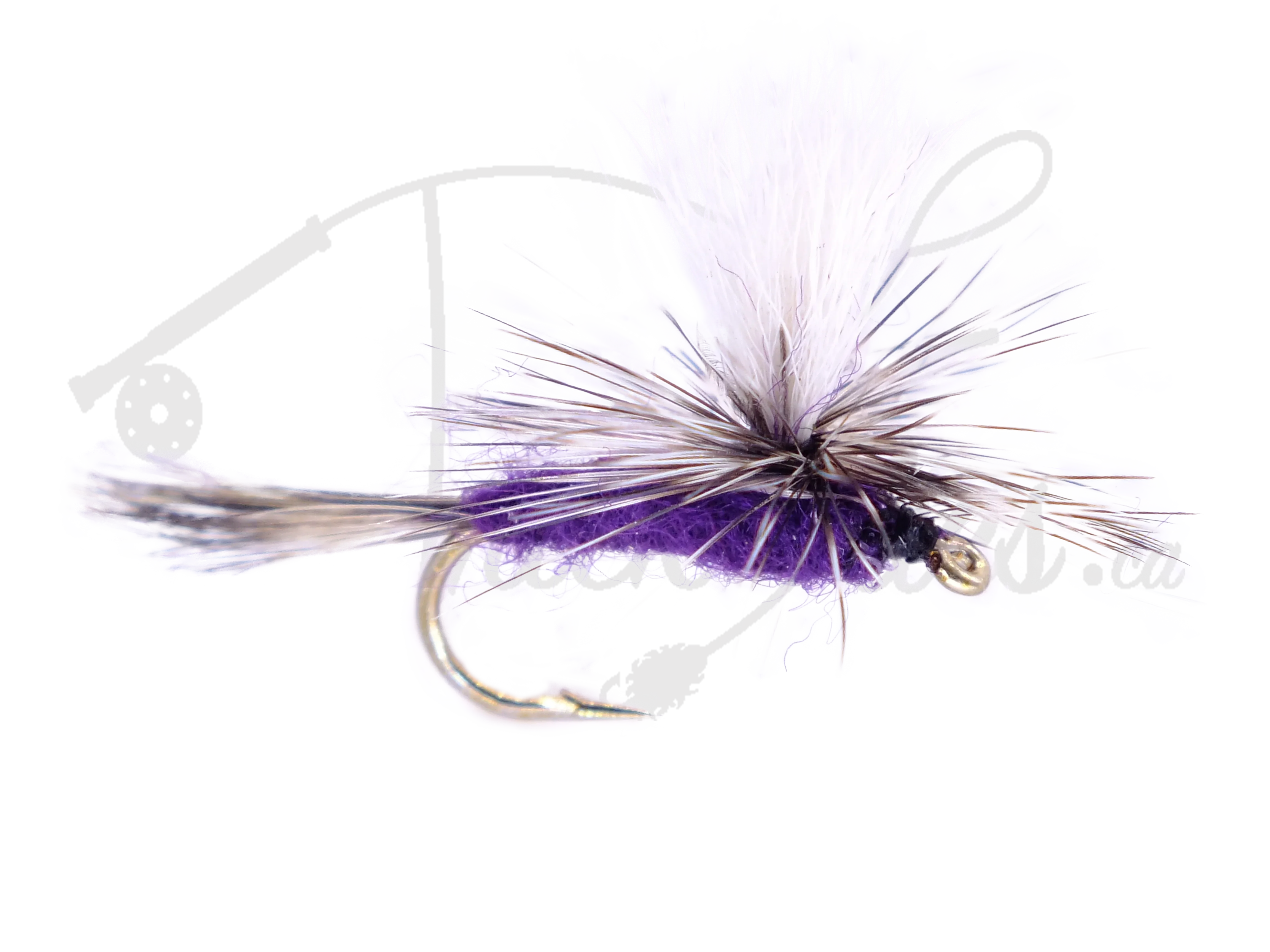 Purple Haze dry fly fishing lure with white and purple hackle on a transparent background